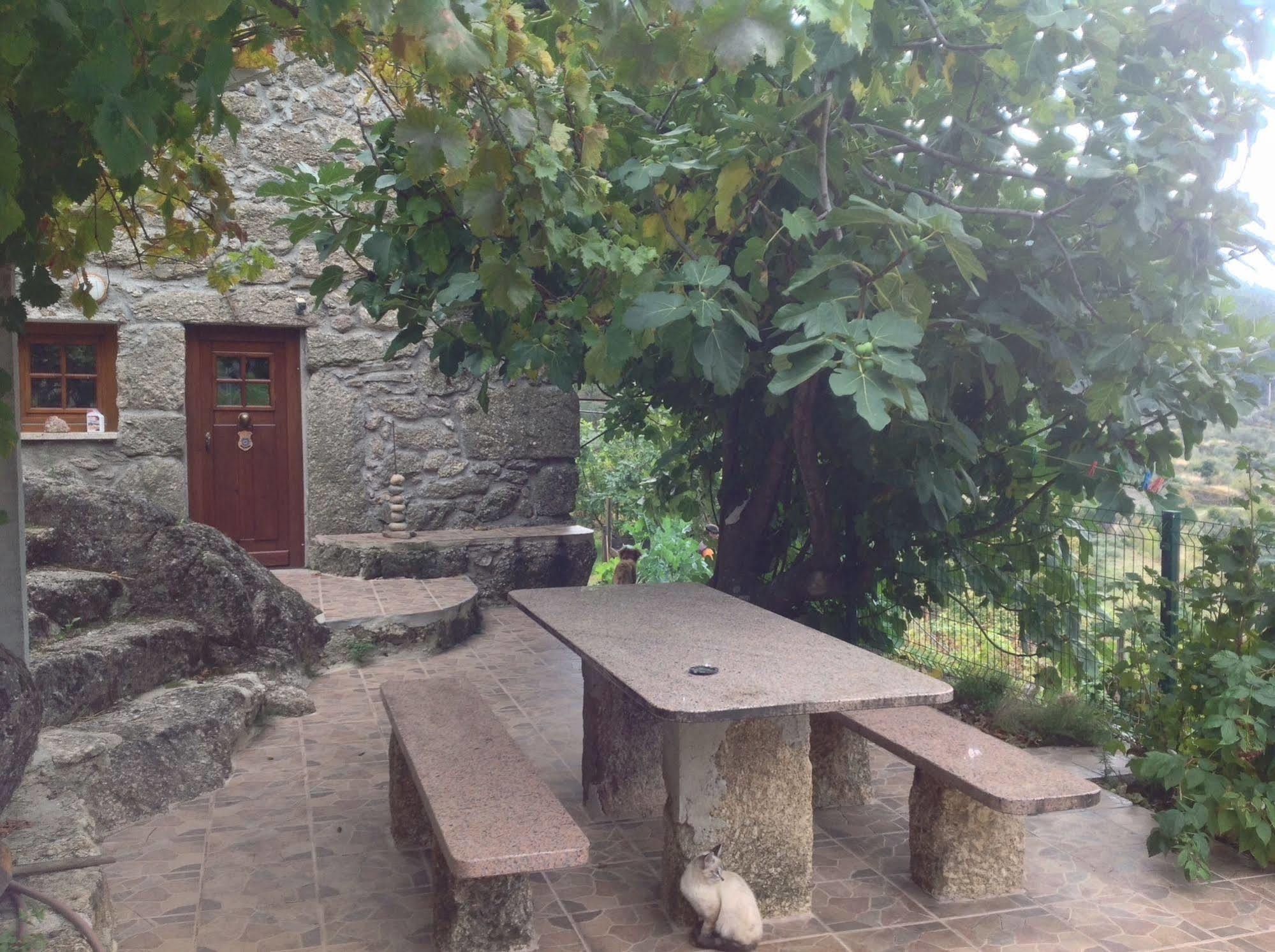 Quinta Do Circo - Serra Da Estrela - Turismo Rural Cortes do Meio Exterior foto